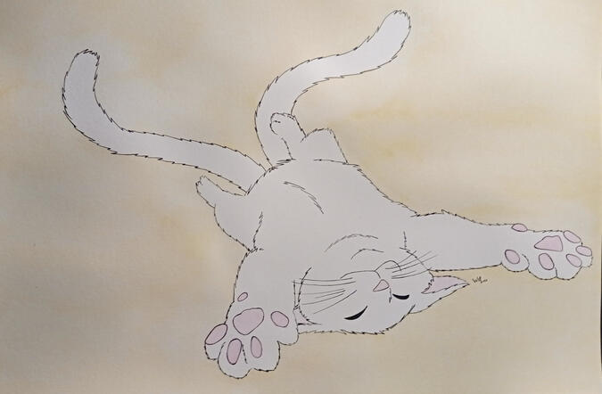 (A) Nekomata acuarela