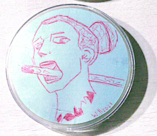 Cabeza empalada pinktober