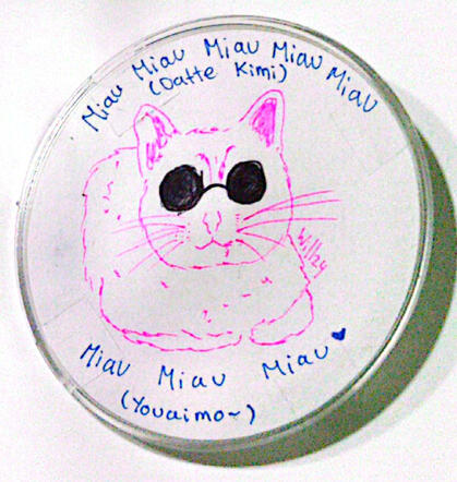 (A)Datte kimi youaimo