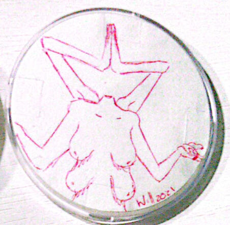 Where is your god now